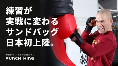 練習が実戦に！従来のトレーニングを変えるPunch Kingサンドバッグ  