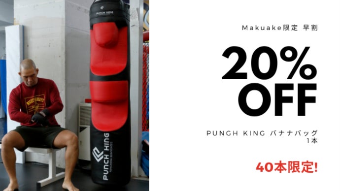練習が実戦に！従来のトレーニングを変えるPunch Kingサンドバッグ
