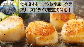 新鮮な北海道オホーツク枝幸産ホタテを食卓に！フリーズドライが可能にした産直革命！