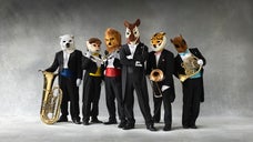 動物たちの音楽DVD『冗談音楽の祭典【ズーラシアンブラス・ショー】』