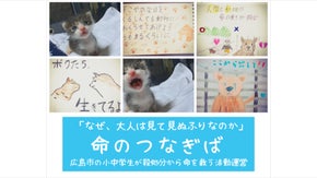 【広島市の小・中学生が運営　命のつなぎば】動物たちの命をつなぐための寄付活動
