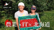 北海道・仁木町産の高糖度トマトを使って最高級トマトジュースを作りたい！