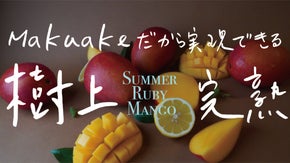 まさに宝石。「予約制でじっくり育てた」Summer Ruby Mango