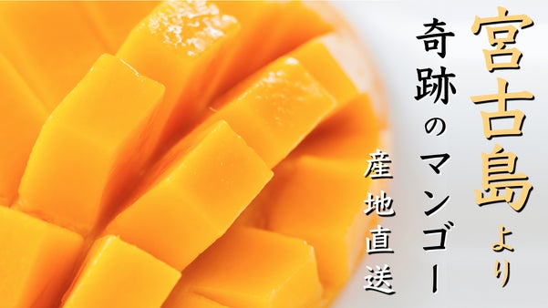 沖縄県宮古島産「奇跡のマンゴー」をお届け。売上一部を観光協会へ