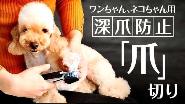 ワンちゃん、ネコちゃんの爪切りの悩みを瞬時に解決。誰でも簡単・安全に爪が切れる！