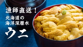 獲ったその日に漁師が直送！ 北海道の海洋深層水ウニ