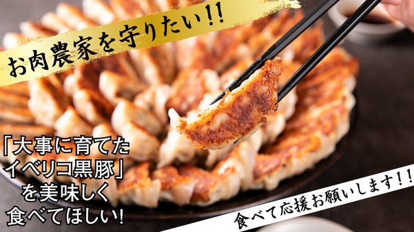 ステーキ肉を使った贅沢餃子！イベリコ黒豚のステーキ餃子を食べてほしい！
