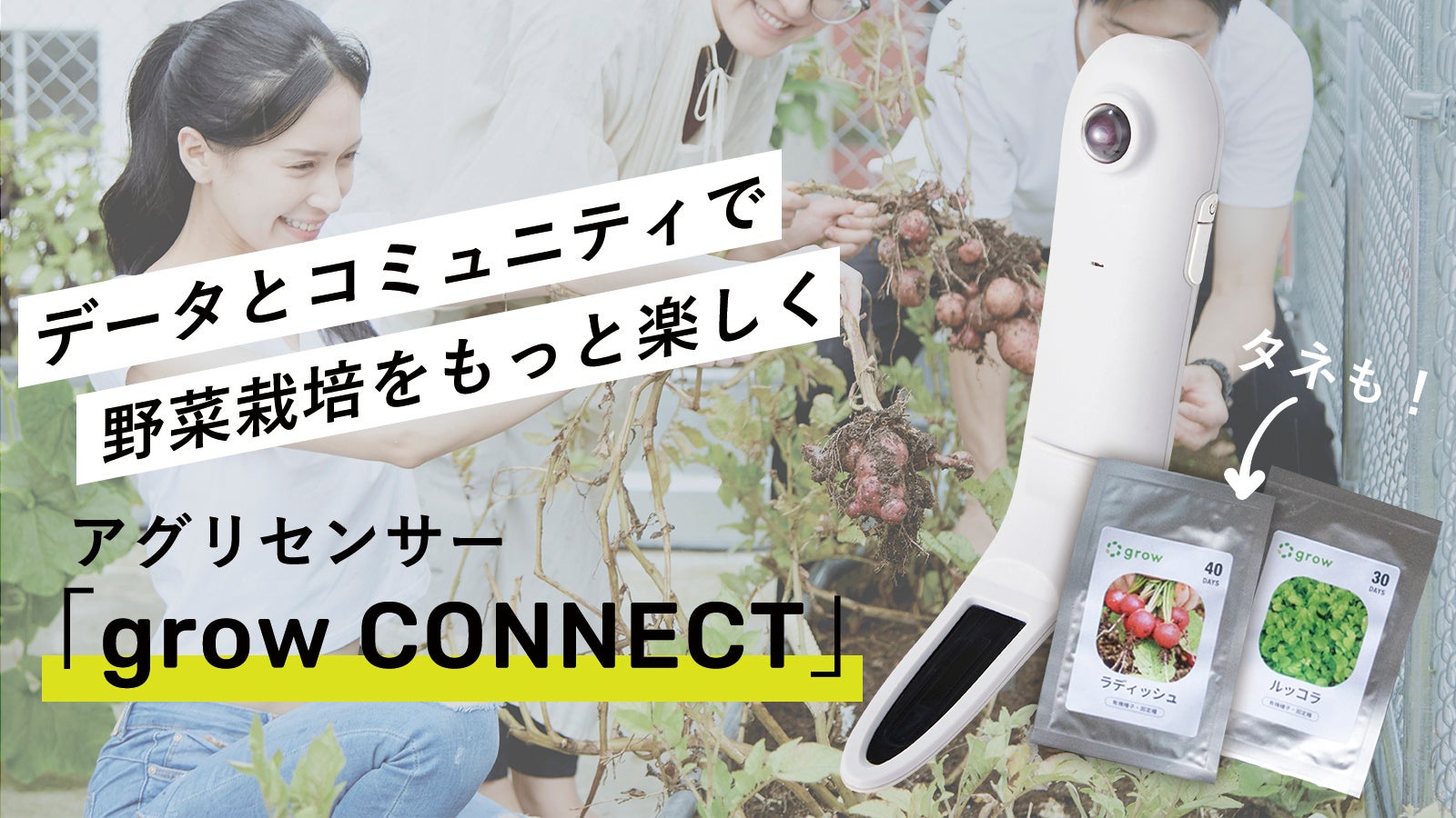 main_11226.jpg?version=