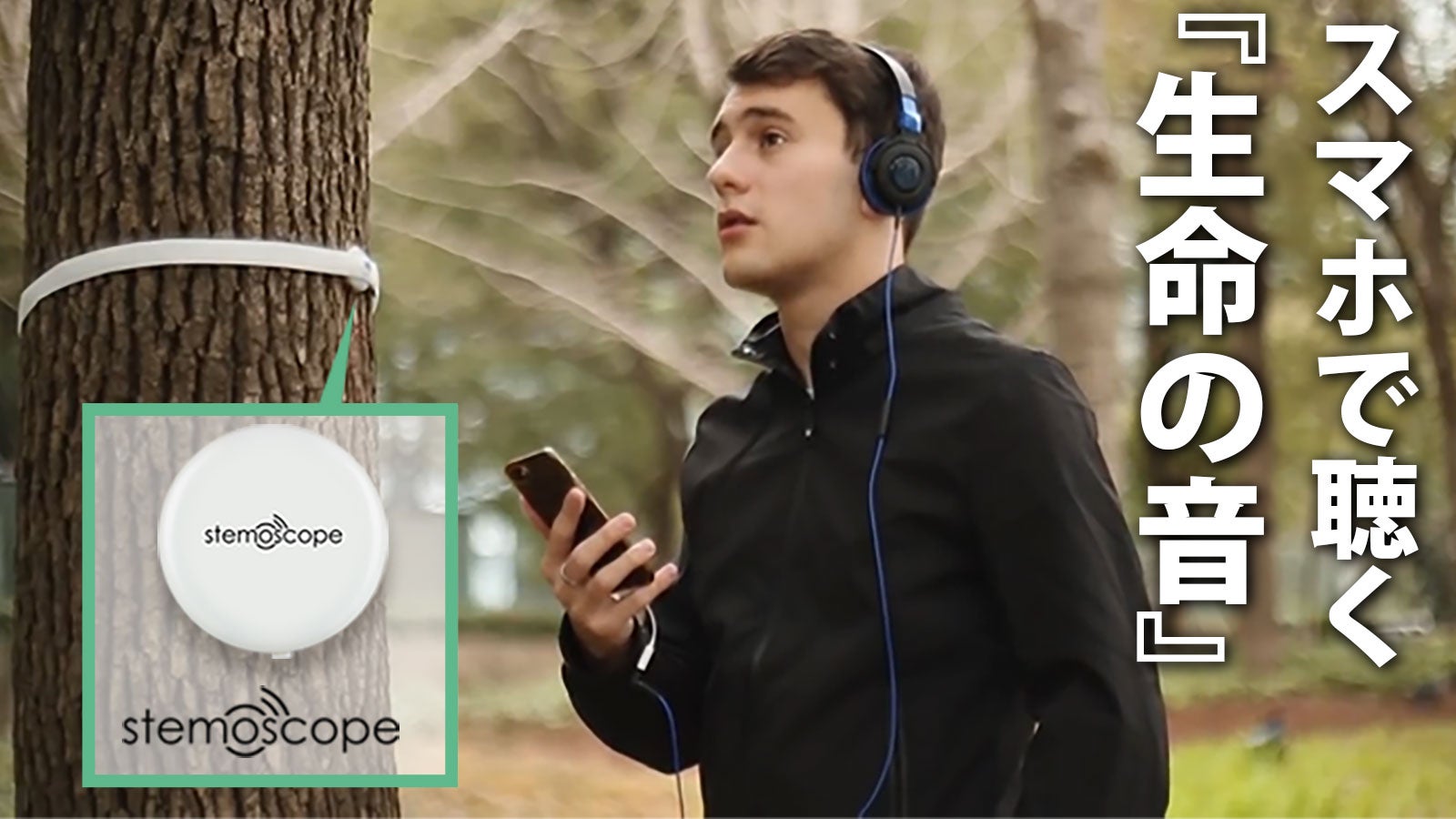 main_11356.jpg?version=