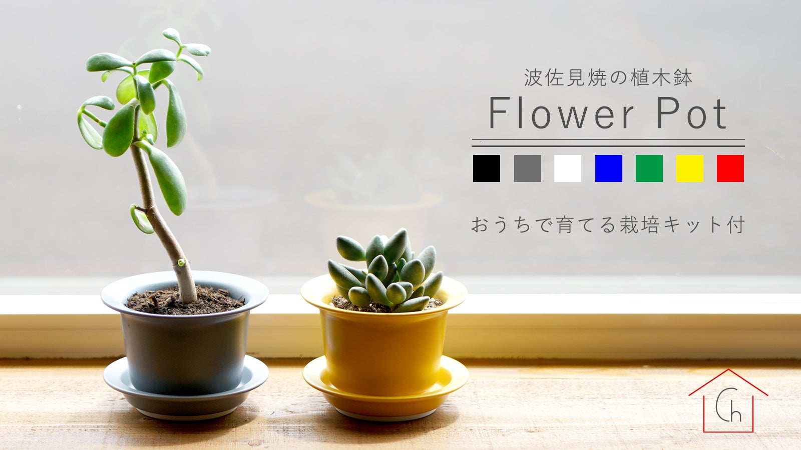 main_11384.jpg?version=