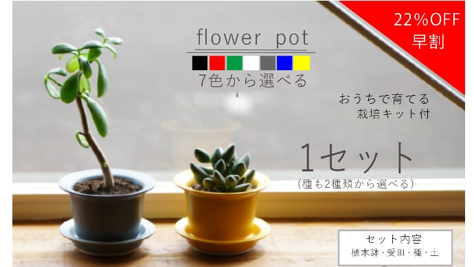 おうち時間で育てて楽しむ「波佐見焼の植木鉢＆栽培キット」｜マクアケ