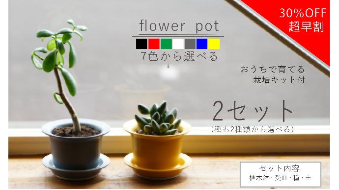 おうち時間で育てて楽しむ「波佐見焼の植木鉢＆栽培キット」｜マクアケ