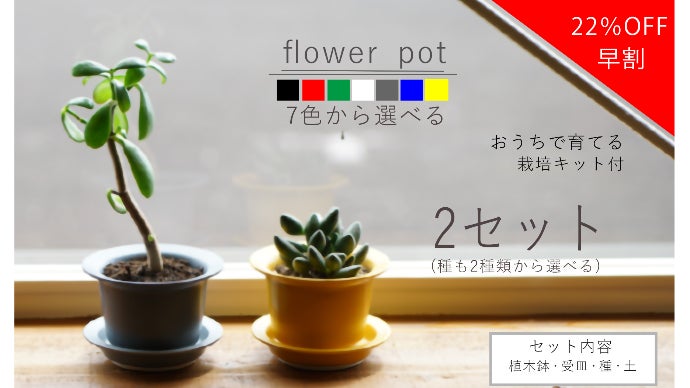 おうち時間で育てて楽しむ「波佐見焼の植木鉢＆栽培キット」｜マクアケ