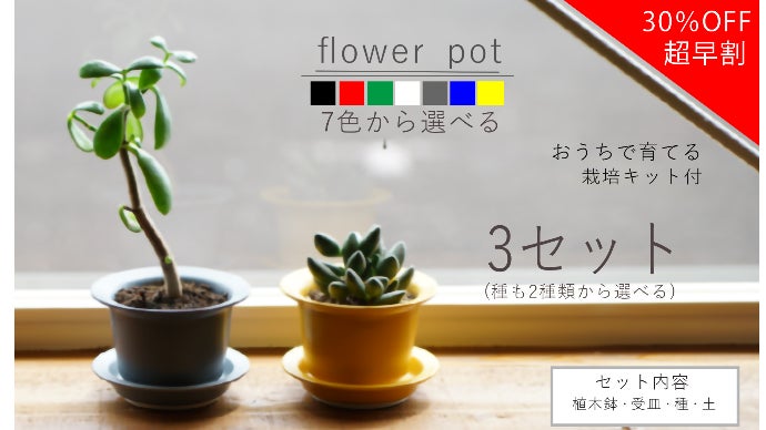 おうち時間で育てて楽しむ「波佐見焼の植木鉢＆栽培キット」｜マクアケ