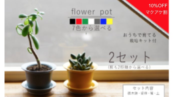 おうち時間で育てて楽しむ「波佐見焼の植木鉢＆栽培キット」｜マクアケ