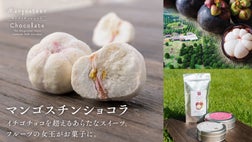 マンゴスチン！ 奇跡のマンゴスチンとホワイトチョコレートの出会い。新感覚スイーツ