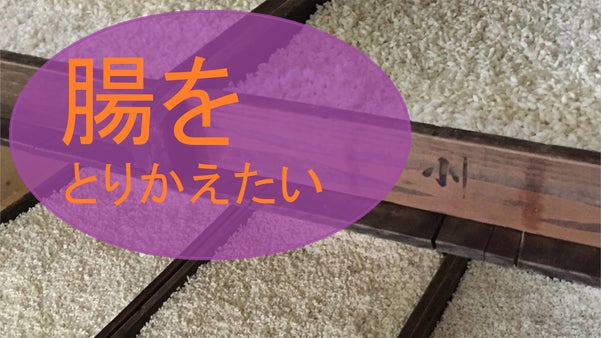 【腸をとりかえたい】一生に一度は、「国菌」を体内に。おなかをつよく。