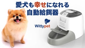 ＼一流プロドッグトレーナー開発／愛犬用ノーズワーク&times;褒めるしつけ&times;自動給餌器