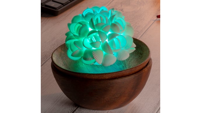 幻想的をかきたてる、不思議な貝殻ランプの世界にようこそ｜マクアケ