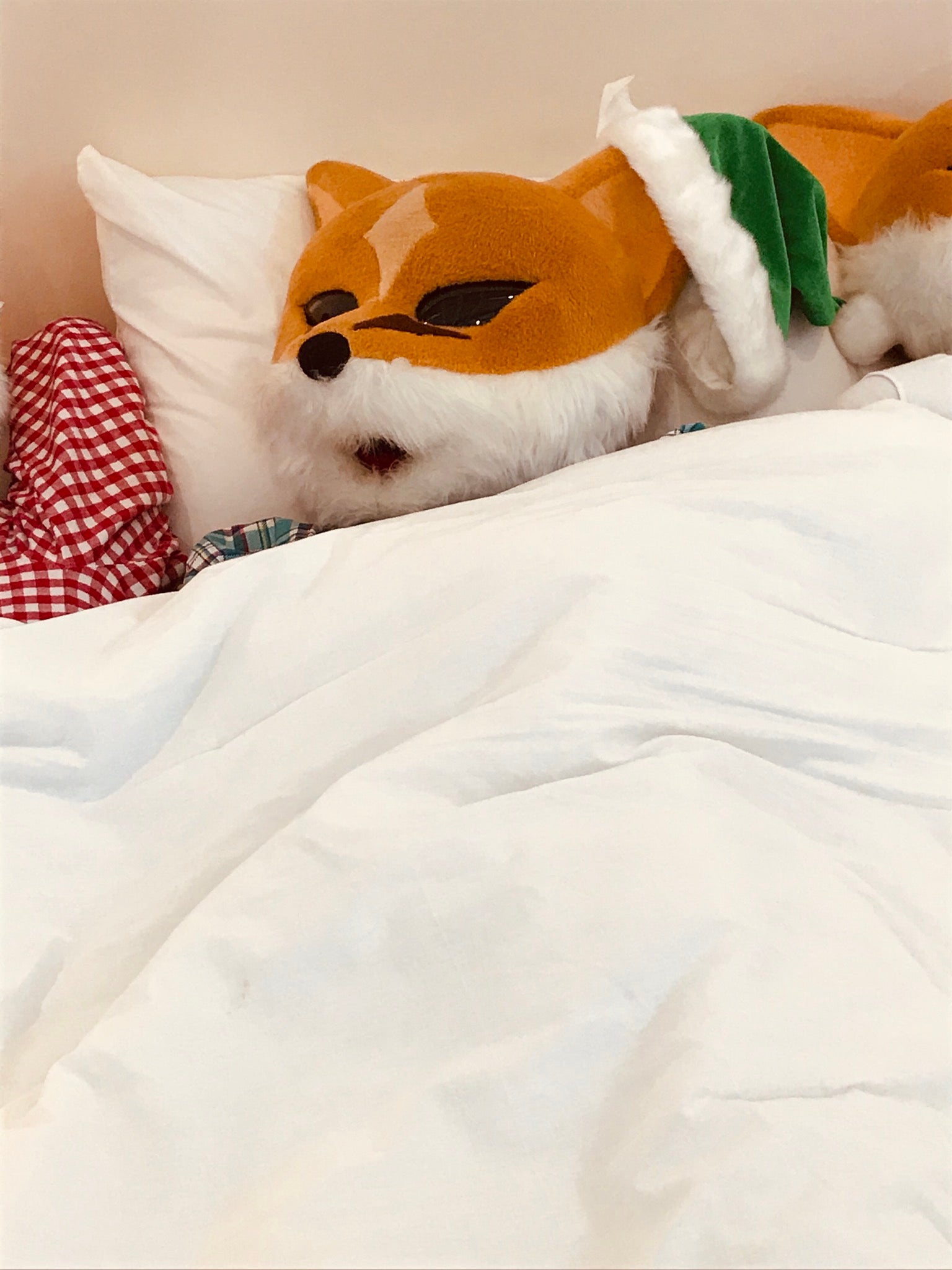 キツネのサックス四重奏団 CD&DVD【サキソフォックスのクリスマス