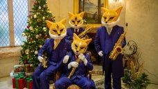 キツネのサックス四重奏団 CD&DVD【サキソフォックスのクリスマス】