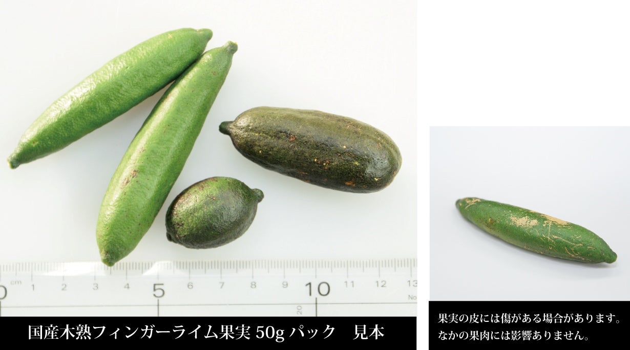 森のキャビア 希少な国産フィンガーライム 青果 ＆ 家庭菜園でも