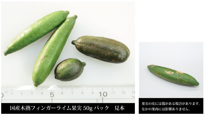 森のキャビア 希少な国産フィンガーライム 青果 ＆ 家庭菜園でも