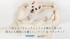 上質オーガニックコットンを贅沢に使用。国産ペット用ベッド&ブランケット【FAD】