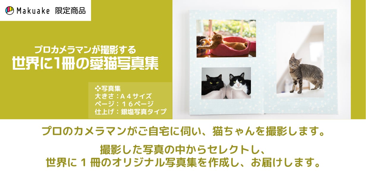 ねこねこさん専用。写真・商品説明ご確認お願いします 60歳からの起業！ねこ好きのための販売サイト「ねこかぞく」応援