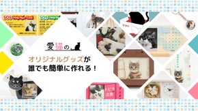 60歳からの起業！ねこ好きのための販売サイト「ねこかぞく」応援プロジェクト