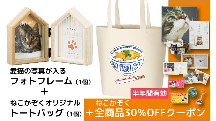 60歳からの起業！ねこ好きのための販売サイト「ねこかぞく」応援