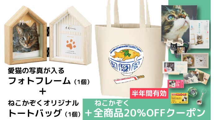 60歳からの起業！ねこ好きのための販売サイト「ねこかぞく」応援