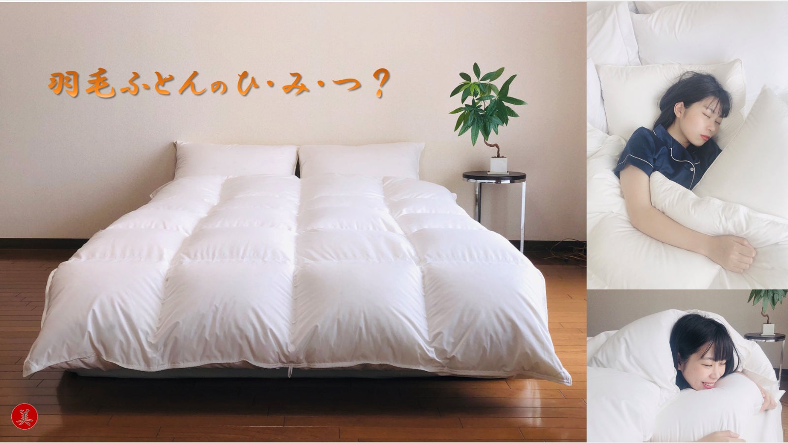 最終値下げ 未使用 Feather Land フェザーランド 羽毛布団 水鳥羽毛 