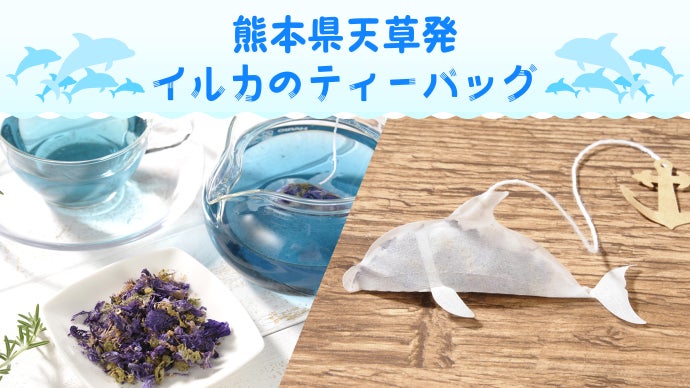 イルカが泳いでる！？熊本県天草からとっておきのティータイムをお届け