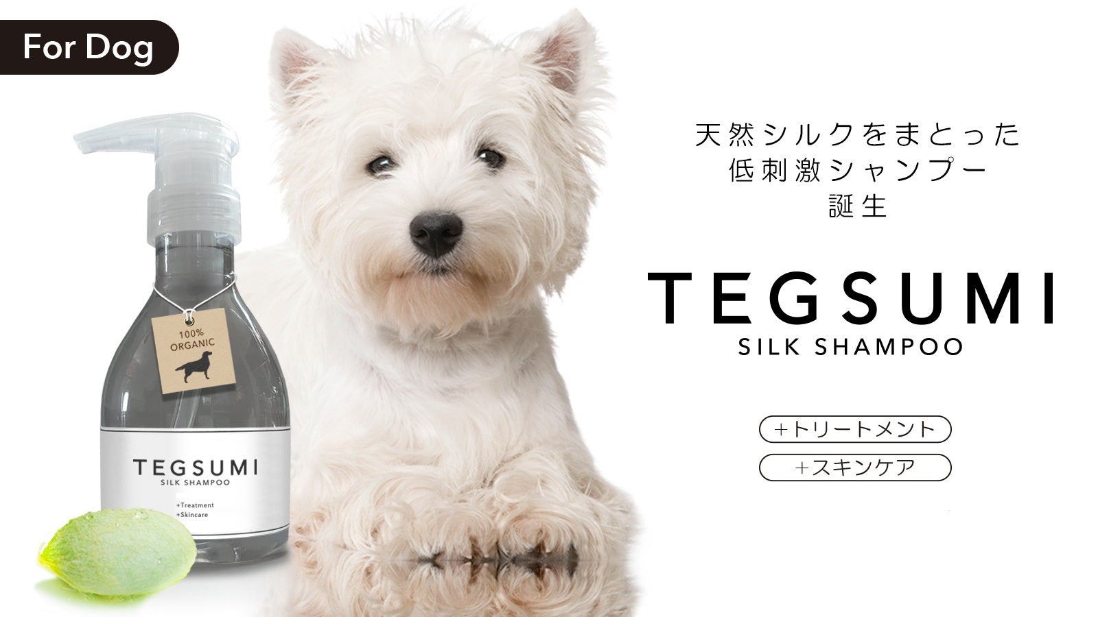 TEGSUMIシルクケアシャンプー 天然シルク犬用シャンプー 300ml 無添加 低刺激 オーガニック 速乾 時短 トリートメントインシャン
