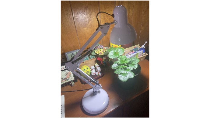 LED電照栽培照明メーカーが、趣味で開発した照明で、室内菜園楽しみ