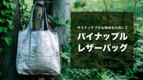 折りたためて洗える。買い物にもお仕事にも、植物性レザーのマルチユースバッグ