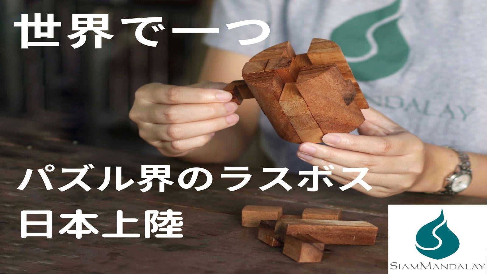 世界に一つ パズル界のラスボス IQテスト 立体パズル 「マジックパズル