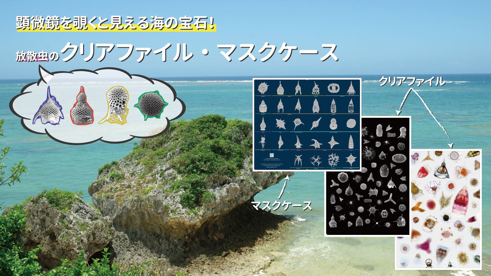 main_12164.jpg?version=