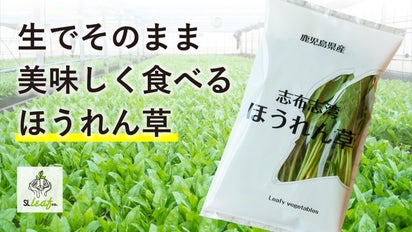 生のままでもおいしく食べられる！ 栽培期間中農薬不使用の「志布志湾