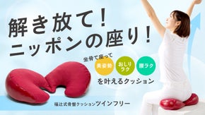 長時間ラクに座れる！おしりと腰にとことんやさしい美姿勢クッション　ツインフリー