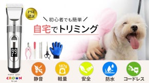 〜初心者でも簡単〜 愛犬も安心、自宅をトリミングサロンへ