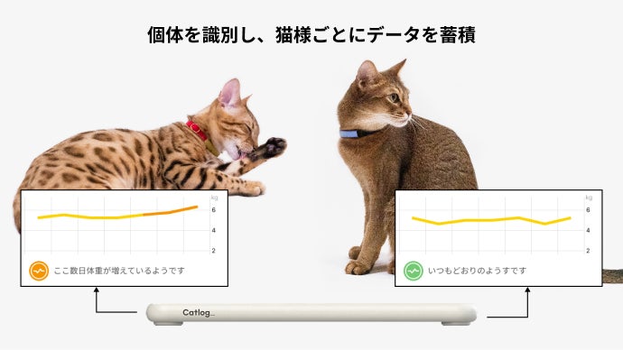 Catlog boardキャットログトイレボード第一世代A Catlog Board」を1ヶ月使ってレビュー！愛猫のおトイレ事情を見