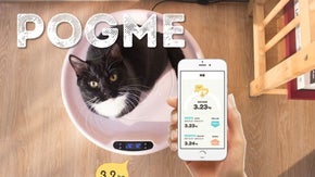 ペットの体重測定も体温管理も楽々！猫と犬を暖かく健康に保つスマートスケール