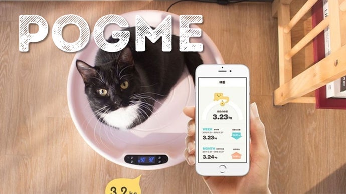 ペットの体重測定も体温管理も楽々！猫と犬を暖かく健康に保つスマートスケール