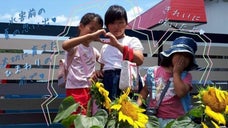 水害からの復興を！独自の世界観が共存するガラパゴス