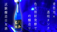 青色LED光で吟醸造り。「透明タンク＜色光照射発酵＞日本酒」の試験醸造
