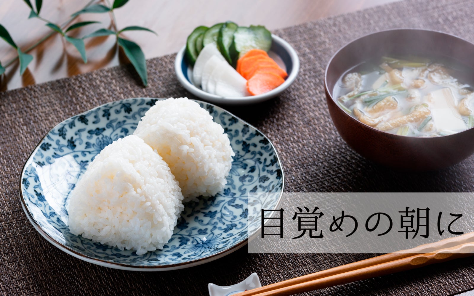 マル秘情報解禁。塩職人が作る至福の「塩おむすび」をあなたの