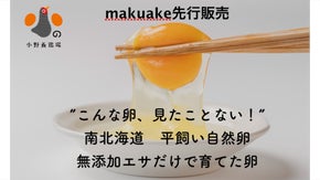 【北海道】とびきり元気な純国産鶏の自然卵　究極のTKGを！元養護学校教諭の挑戦