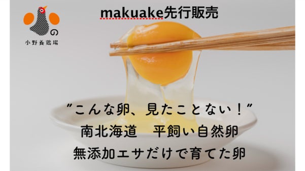 【北海道】とびきり元気な純国産鶏の自然卵　究極のTKGを！元養護学校教諭の挑戦